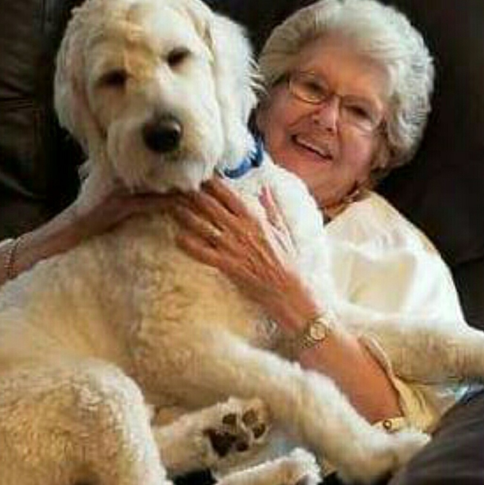 Meet your Posher, Judy